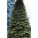 Brad Artificial Joanna 100% 3D - 250 cm - 3.128 Lei | BraziCraciun.ro